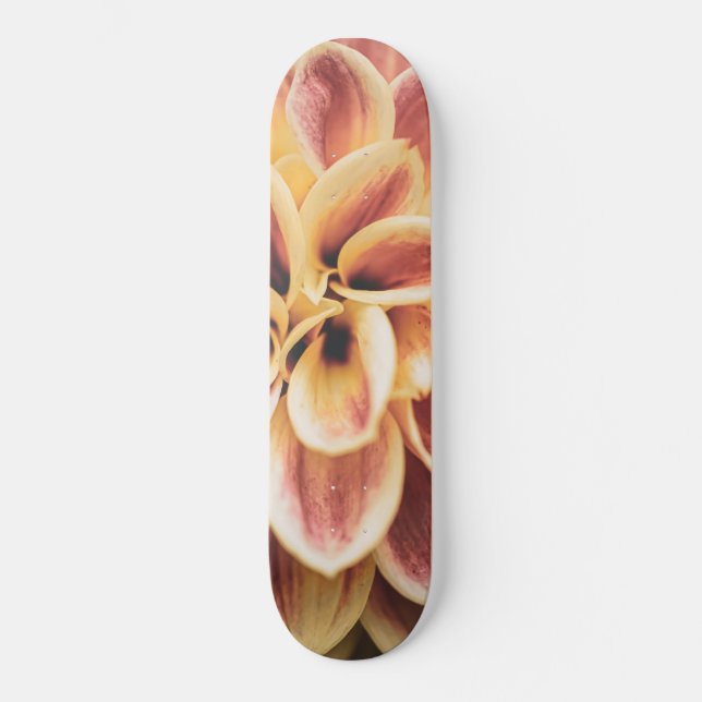 Sommar Dahlia Blomma (Blomsterkonst) Mini Skateboard Bräda 18,5 Cm (Framsida)