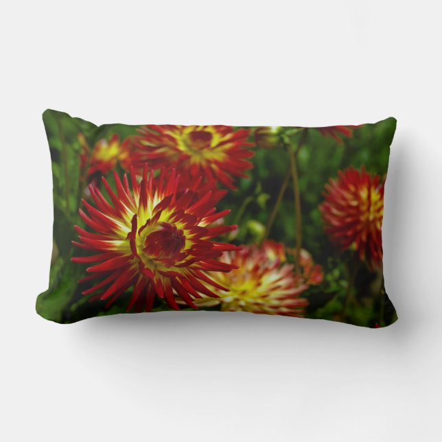 Sommar Dahlia Blomma Lumbarkudde (Framsida)