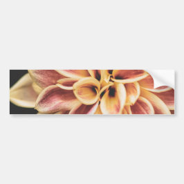 Sommar Dahlia Flower (Blommigt Art) Bildekal