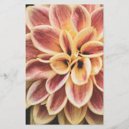 Sommar Dahlia Flower (Blommigt Art) Brevpapper