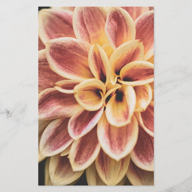 Sommar Dahlia Flower (Blommigt Art) Brevpapper (Framsida)