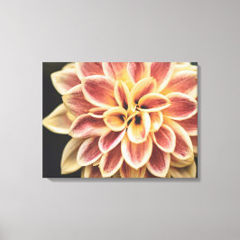 Sommar Dahlia Flower (Blommigt Art) Canvastryck