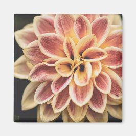 Sommar Dahlia Flower (Blommigt Art) Magnet