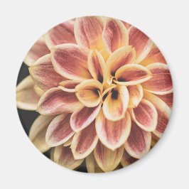 Sommar Dahlia Flower (Blommigt Art) Magnet