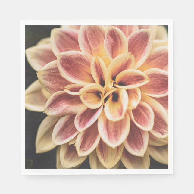 Sommar Dahlia Flower (Blommigt Art) Pappersservett (Framsidan)