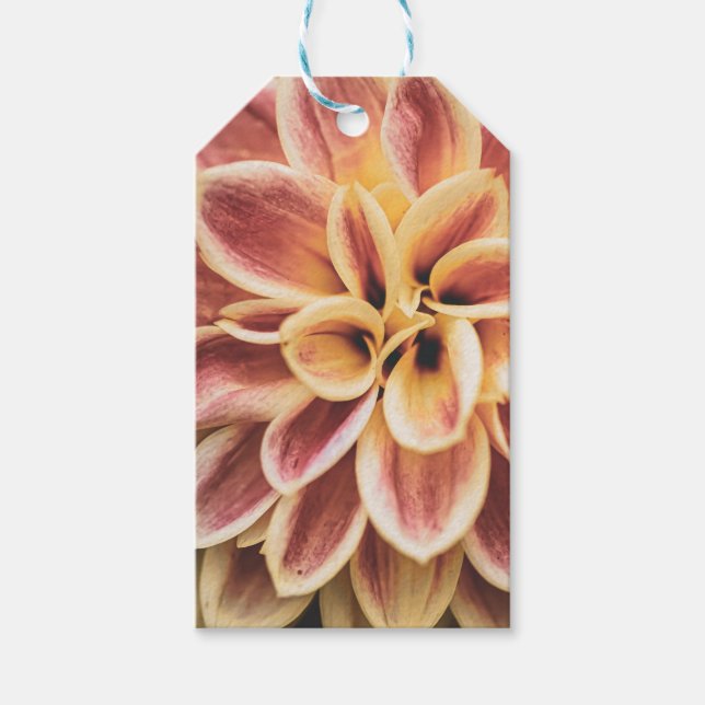 Sommar Dahlia Flower (Blommigt Art) Presentetikett (Framsidan)