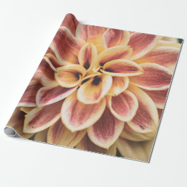 Sommar Dahlia Flower (Blommigt Art) Presentpapper