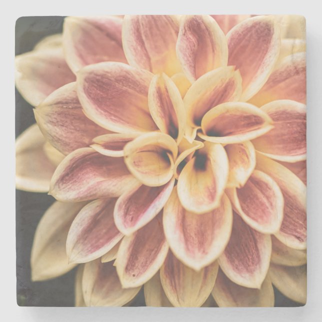 Sommar Dahlia Flower (Blommigt Art) Stenunderlägg (Framsidan)