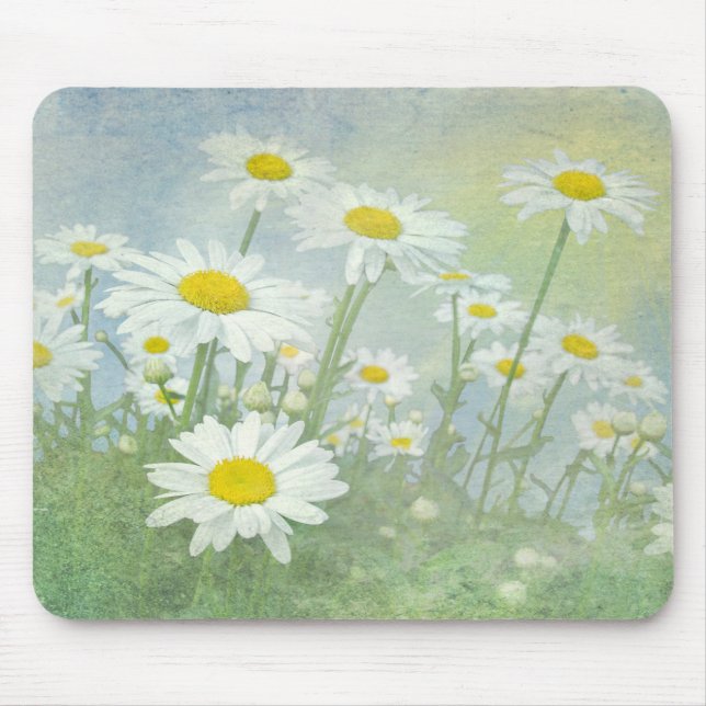 Sommar daisy fält musmatta (Framsidan)