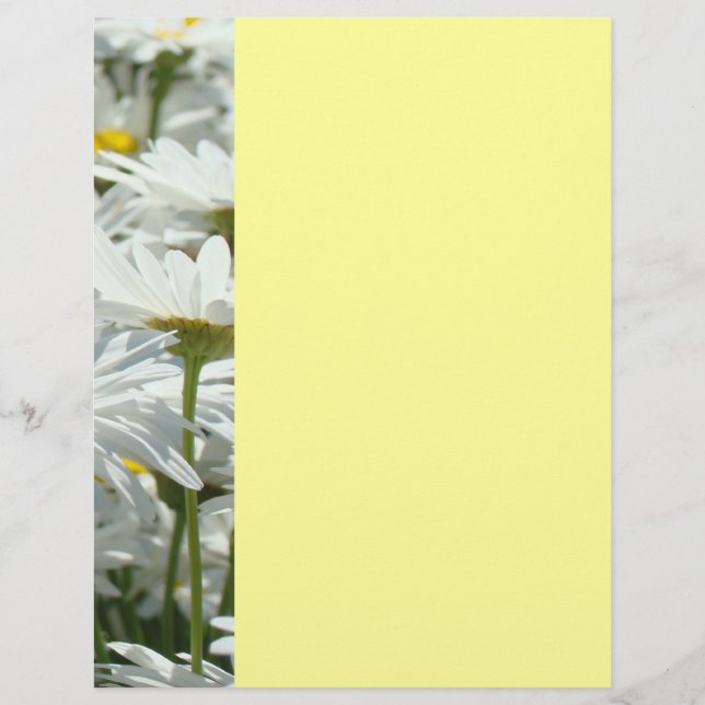 Sommar evenemang Flyers Fester Prästkrage Blommor  (Framsidan)