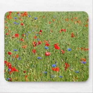 Sommar fält med rött och blåa blommor musmatta