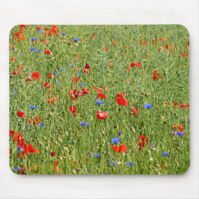Sommar fält med rött och blåa blommor musmatta (Framsidan)