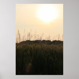 Sommar Fält Poster