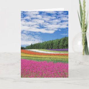 Sommar-Fält-rader med blommor Kort