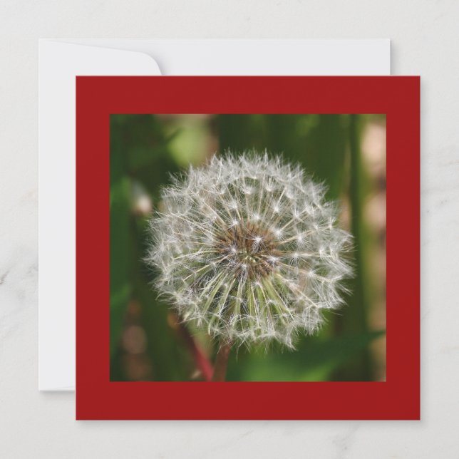 Sommar Födelsedagsfest inbjudan (Framsida)