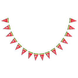 Sommar för party för melon för vimplar