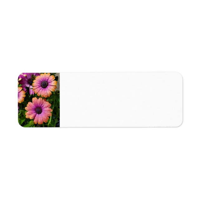 Sommar Garden adressetiketters Returadress Etikett (Framsidan)