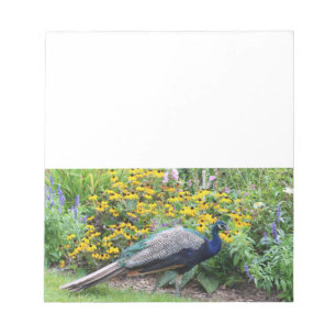 Sommar Garden med Peacock anteckningsblock