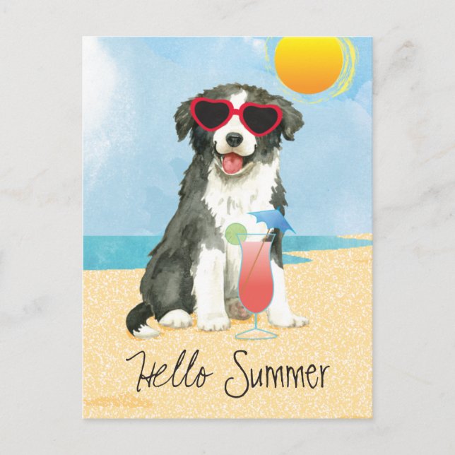 Sommar Gräns Collie Postcard Vykort (Framsida)