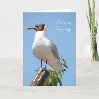 Sommar-Hälsning-fågelkort Kort