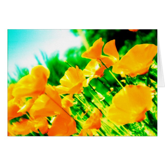 sommar hälsningskort (Framsidan Horizontal)