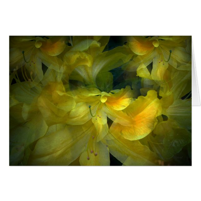 Sommar Hälsningskort (Framsidan Horizontal)