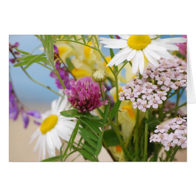 Sommar Hälsningskort (Framsidan Horizontal)