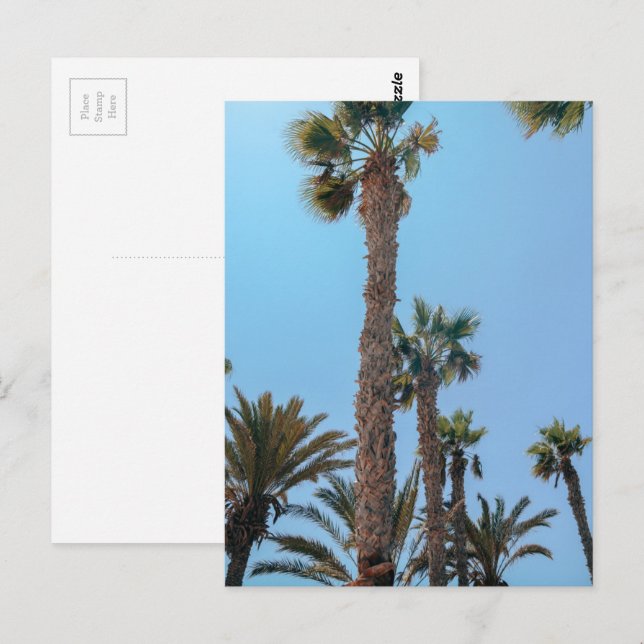 Sommar Handflatan träd Vykort (Fram/baksida)