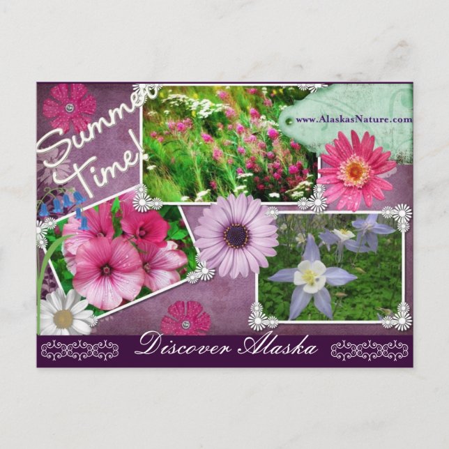 Sommar i Alaska Vykort (Framsida)