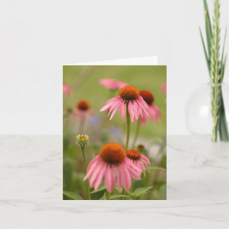 Sommar i Bohemia Kort