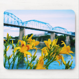Sommar i Chattanooga, TN - Walnut Street Bridge Musmatta