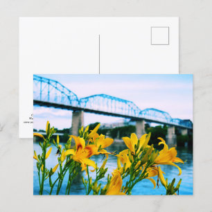 Sommar i Chattanooga, TN - Walnut Street Bridge Vykort
