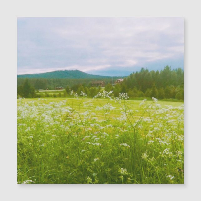 Sommar i Hälsingland - Helsingia  (Framsida)