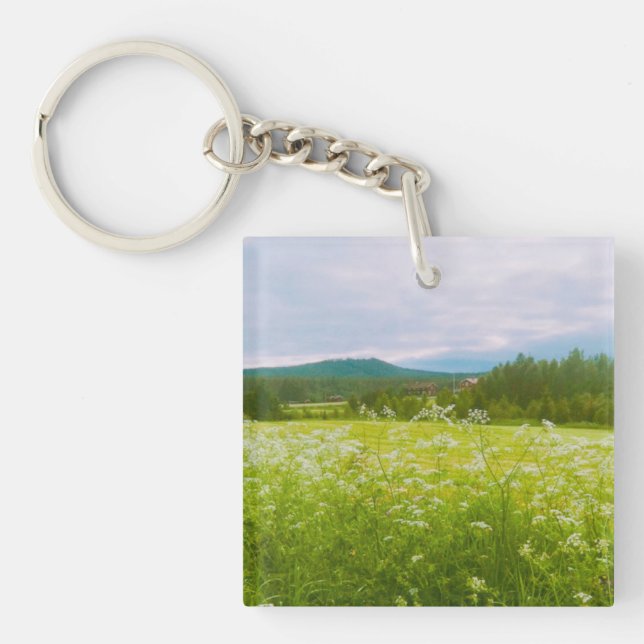 Sommar i Hälsingland - Helsingia  (Framsidan)