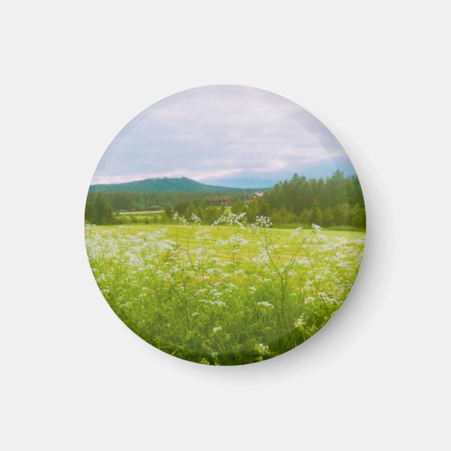 Sommar i Hälsingland - Helsingia  Magnet (Framsidan)
