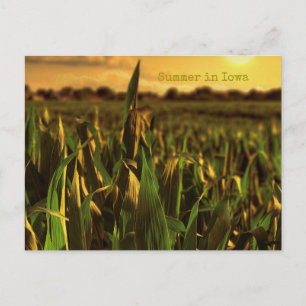 Sommar i Iowa vycard Vykort