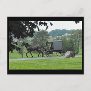 ~-sommar i Lancaster County ~ 71 Vykort