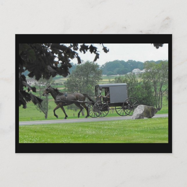 ~-sommar i Lancaster County ~ 71 Vykort (Framsida)