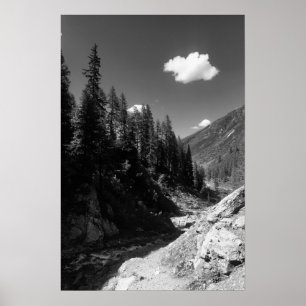 Sommar i Schweiz Black & White-foto Poster