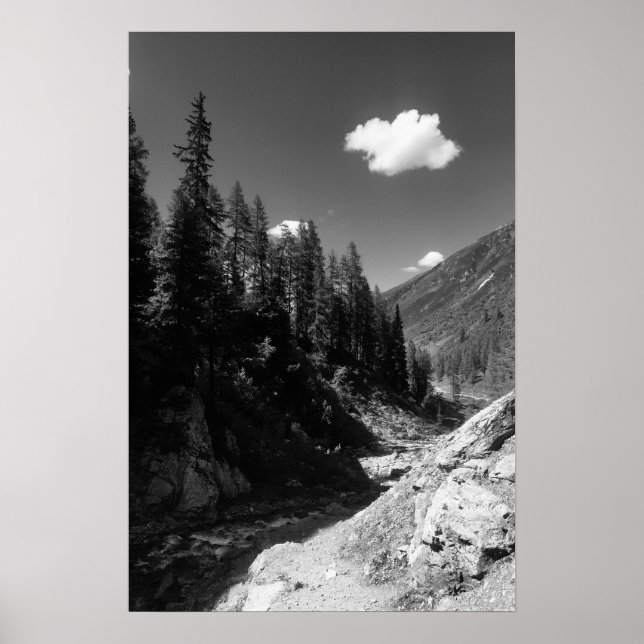 Sommar i Schweiz Black & White-foto Poster (Framsidan)