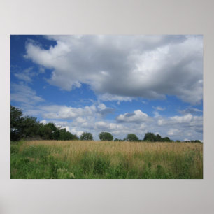 Sommar Iowa Prairie Poster