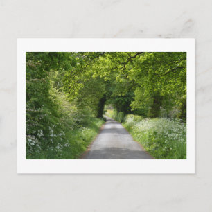 Sommar Land Road: Cheshire Postcard Vykort