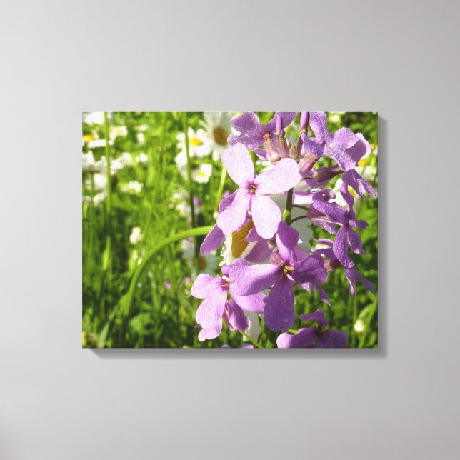 Sommar Lilac och Daisy Canvastryck (Framsida)