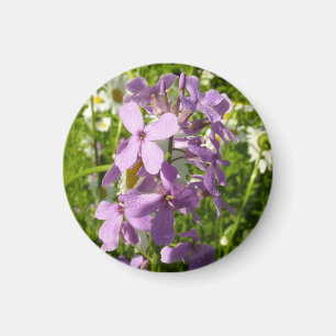 Sommar Lilac och Daisy Magnet