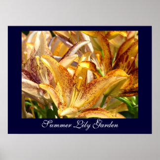Sommar Lilja Trädgård konsttryck gåvor Orange Lilj Poster