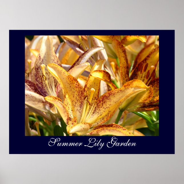 Sommar Lilja Trädgård konsttryck gåvor Orange Lilj Poster (Framsidan)