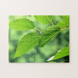 "Sommar-Löv med regndroppar" Jigszawa Puzzle Pussel