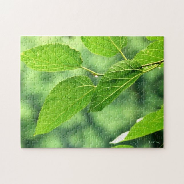 "Sommar-Löv med regndroppar" Jigszawa Puzzle Pussel (Horisontell)
