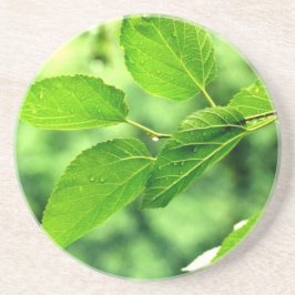 "Sommar Löv med regndroppar" Underlägg