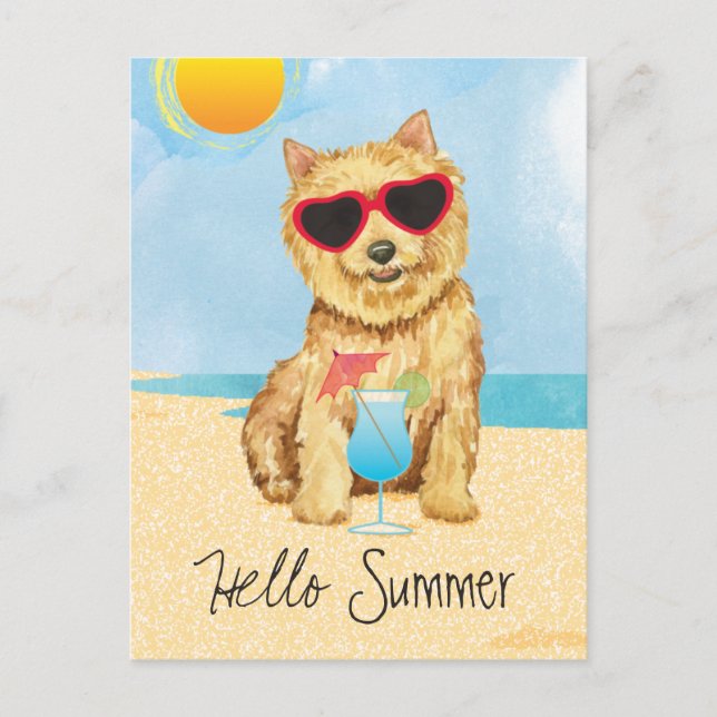 Sommar Norfolk Terrier vykort (Framsida)